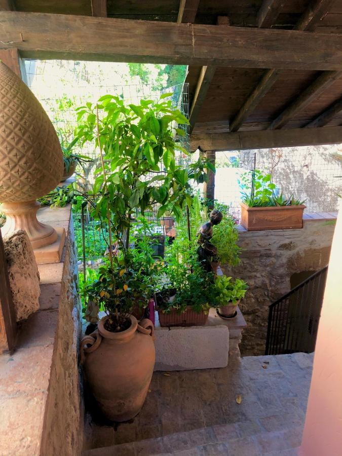 B&B La Fontana Di Pegaso Τίβολι Εξωτερικό φωτογραφία