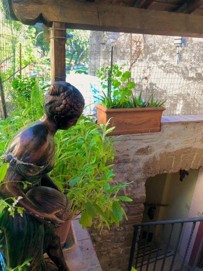 B&B La Fontana Di Pegaso Τίβολι Εξωτερικό φωτογραφία